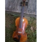 New German Fiddle - Amber Brown Varnish