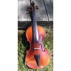 New German One Piece Back - Amber Varnish